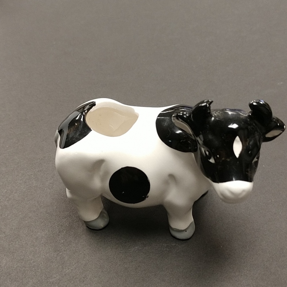 Cow tooth pick holder